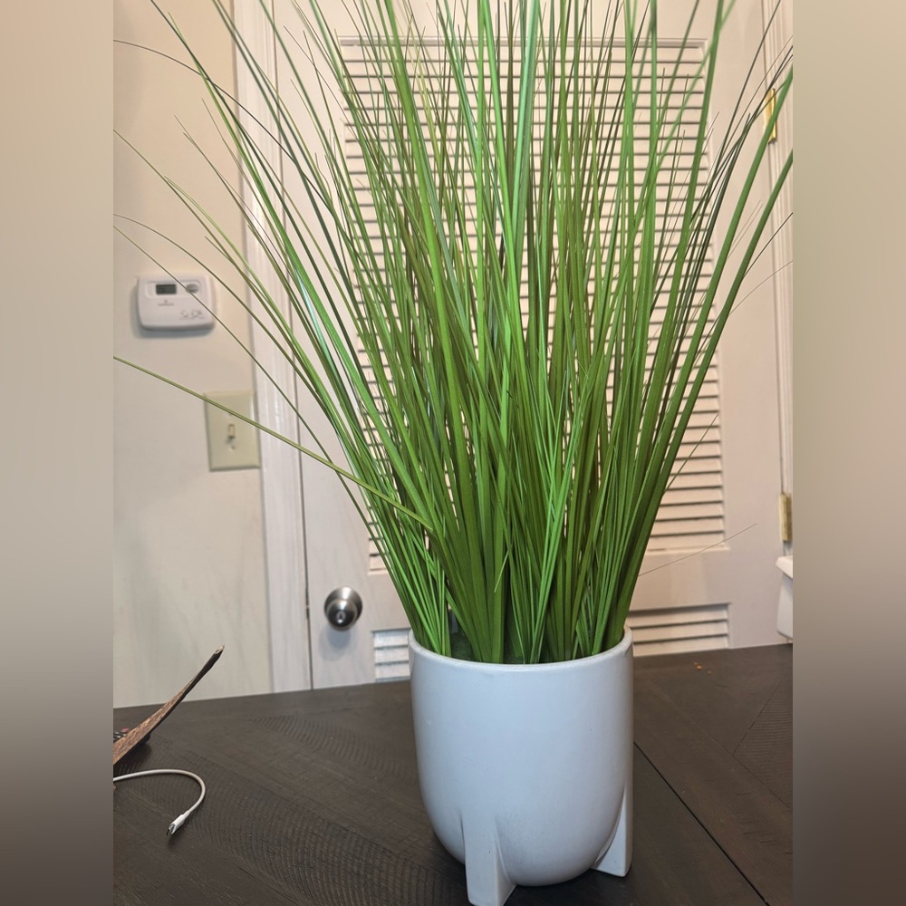 Fake plant decor